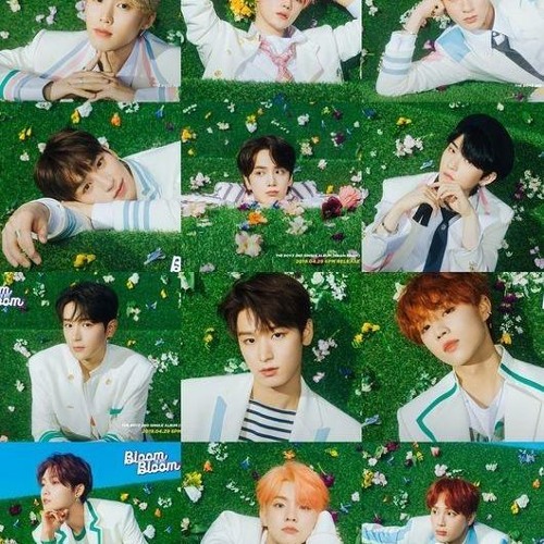 Stream episode 더보이즈(THE BOYZ)THE BOYZ 2nd Single Album [Bloom