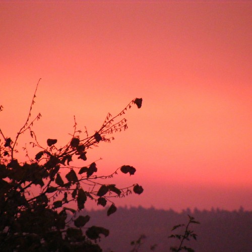 Stream 志方あきこ - 月夜の音楽会 / Shikata Akiko - Tsukiyo no