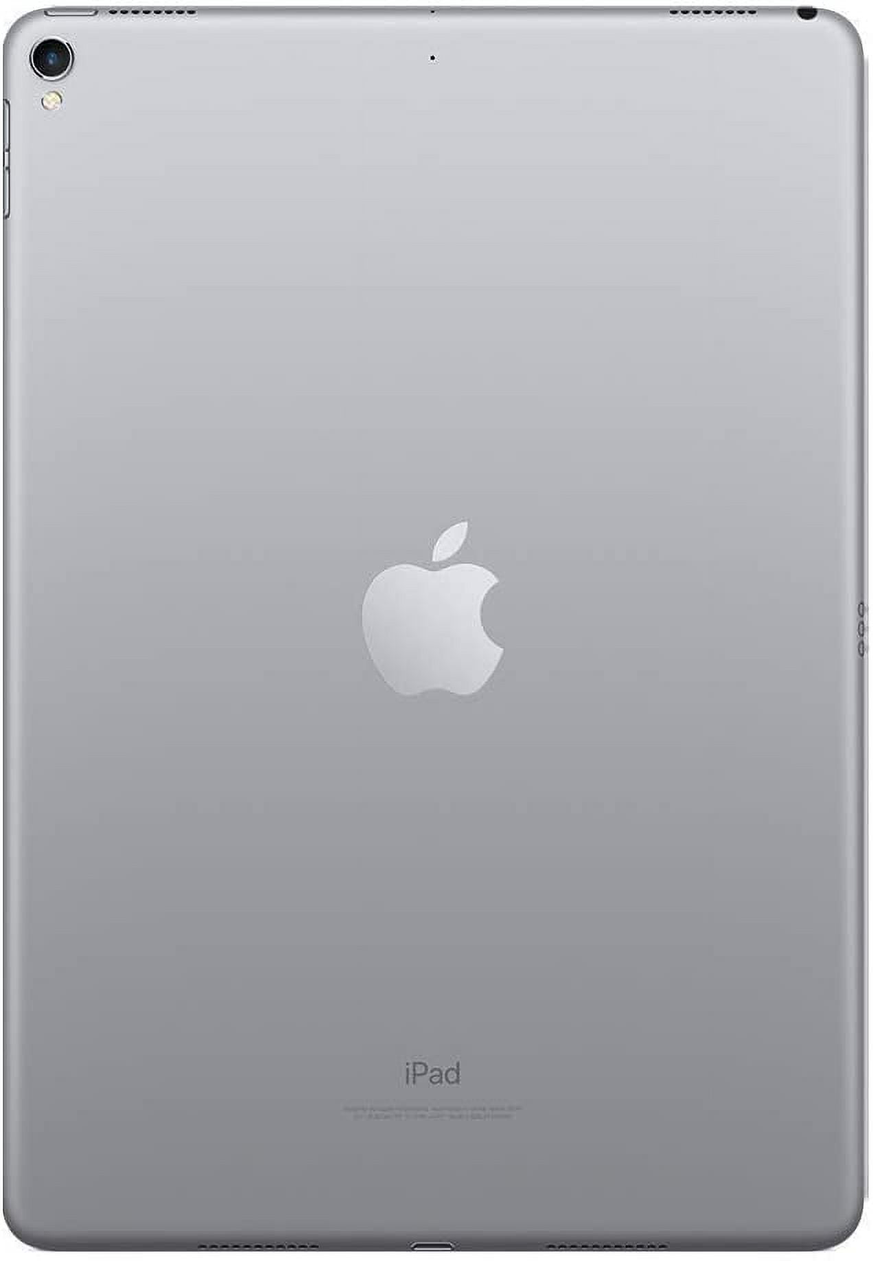 iPad Pro 10.5 256GB セルラー Apple Pencil付 iPad Pro 10.5 256GB