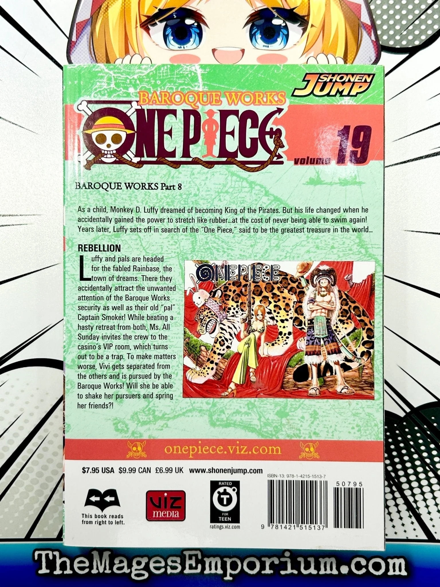 One Piece One Piece, Vol. 19, (Paperback) - Walmart.com