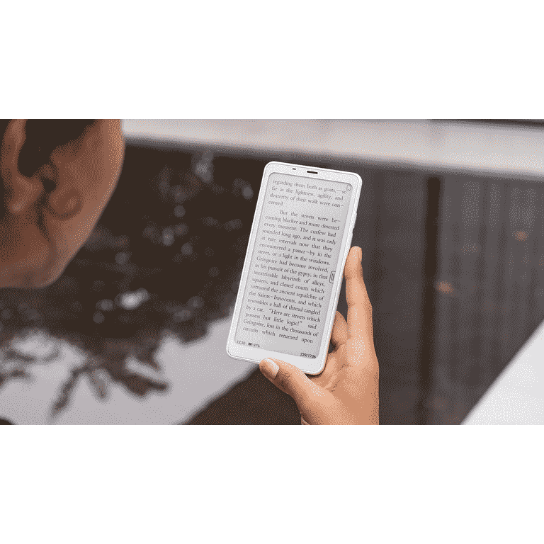 BOOX Palma White 6.13