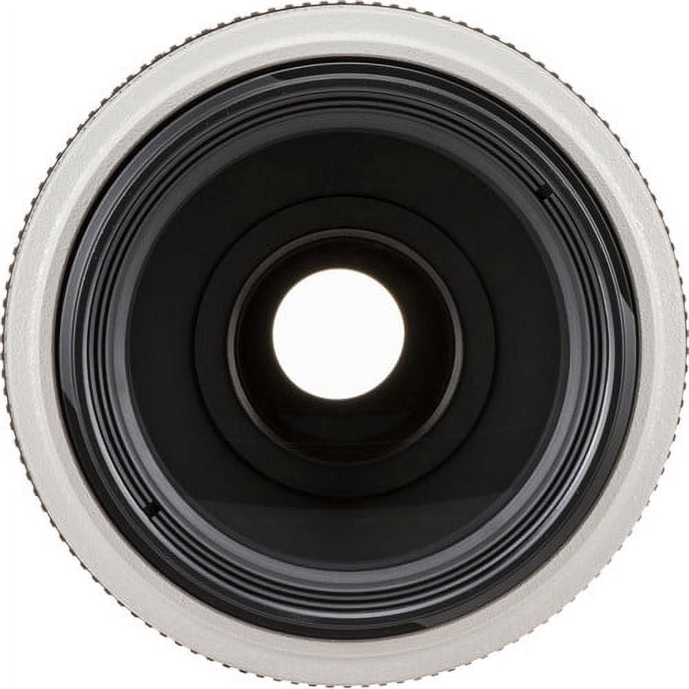 Canon EF 70-300mm f/4-5.6 L IS USM DSLR Camera Zoom Lens - Walmart.com