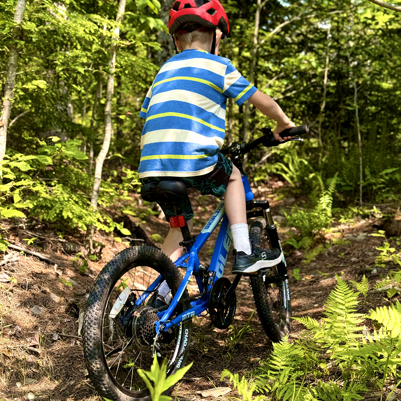 d49b971b-cb7b-4e77-8a15-