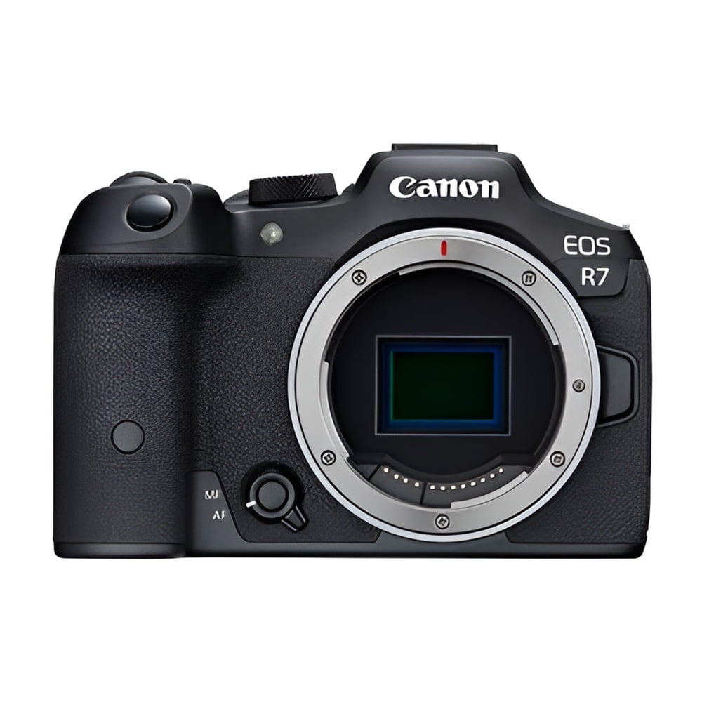 Canon Full-Frame EOS R Mirrorless Digital Camera (Body Only