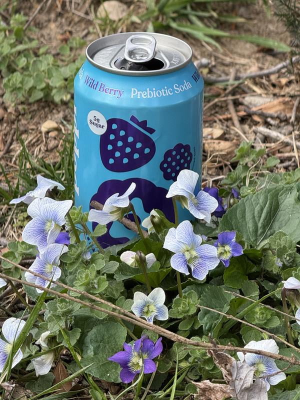 poppi Prebiotic Soda Punch Pop 12 fl. oz., 15 pk. - Samsclub.com