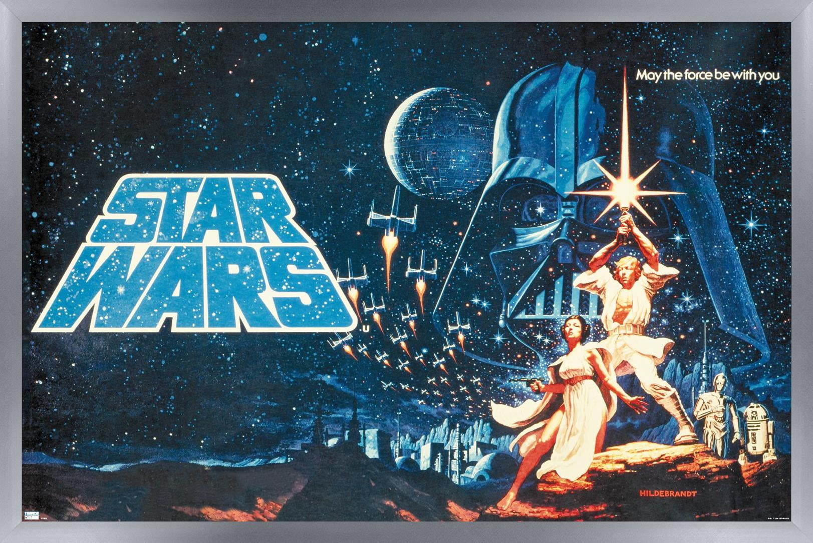 Star Wars: A New Hope - Horizontal Banner Wall Poster, 22.375