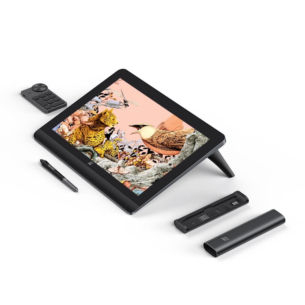 XPPen Artist Pro 16 (Gen2) Drawing Tablets with Screen 2.5K Pen