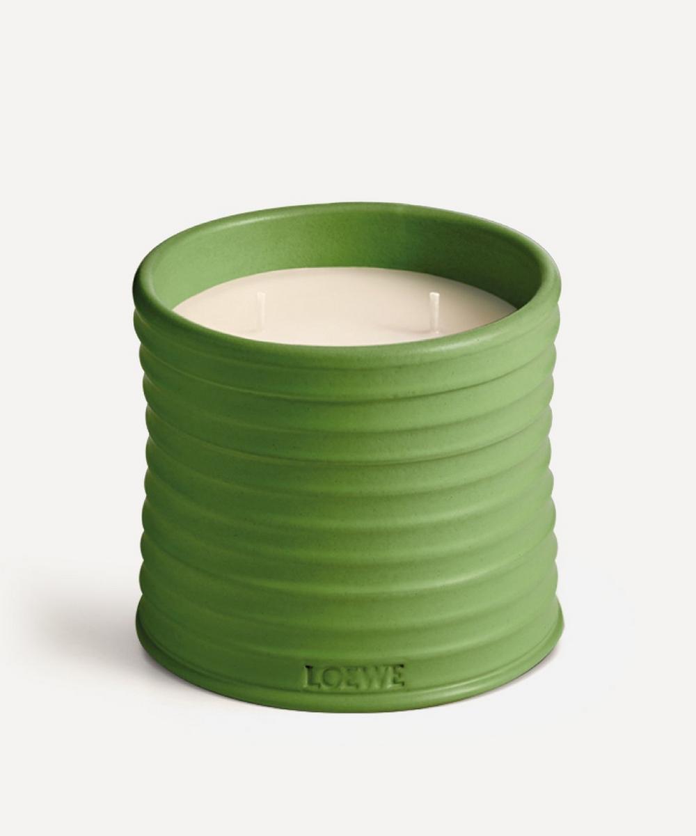 Loewe Medium Luscious Pea Candle 610g | Liberty
