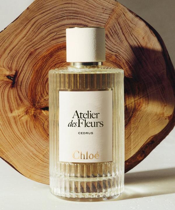 Chloé Atelier des Fleurs Cedrus Eau de Parfum 50ml | Liberty