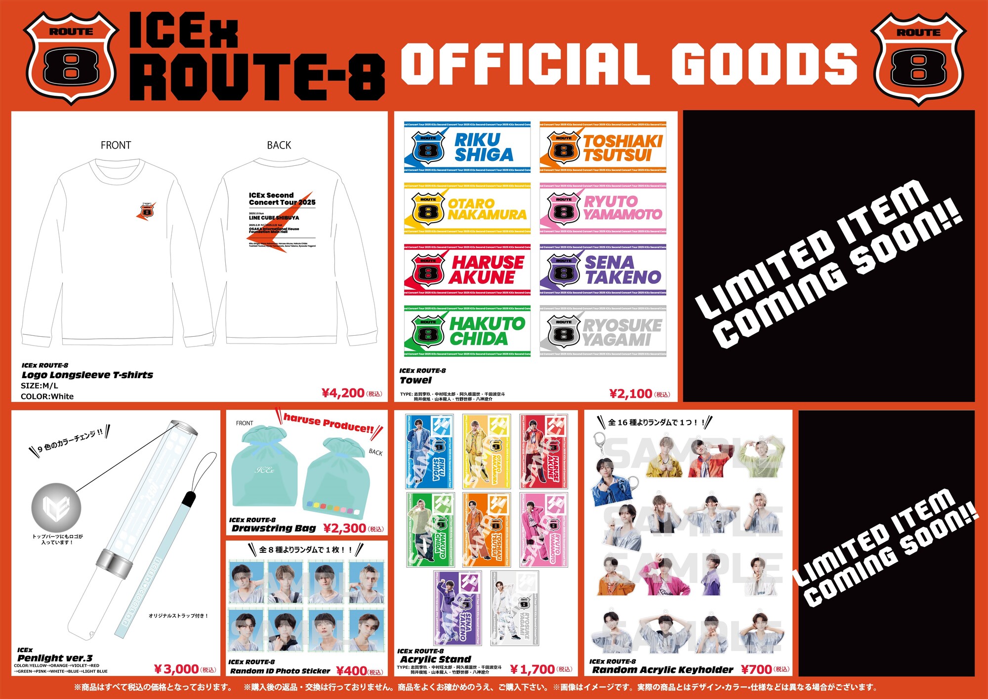 ICEx Second Concert Tour 2025 