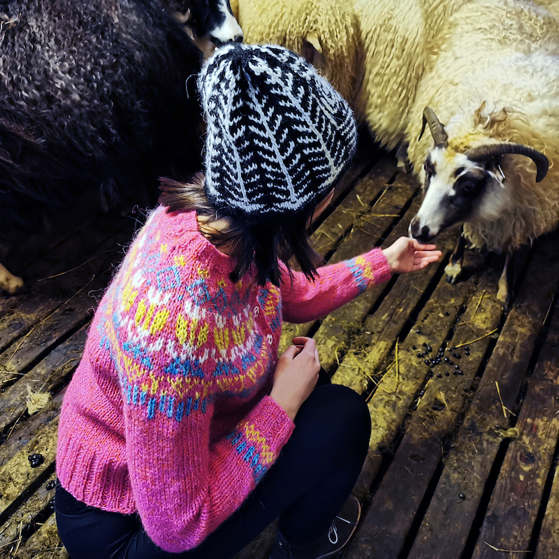 Kristylopi – Icelandic Knitter – Hélène Magnússon