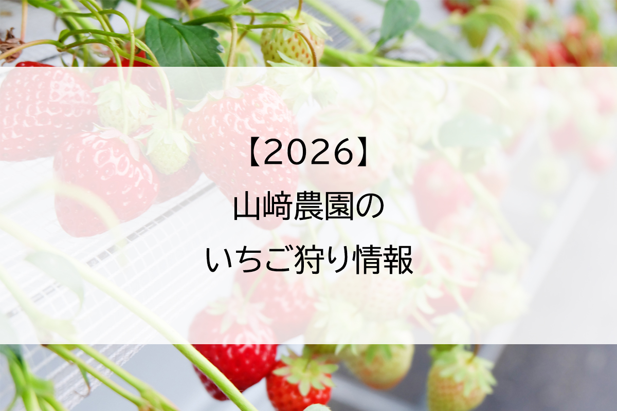 2026】山﨑農園のいちご狩り情報