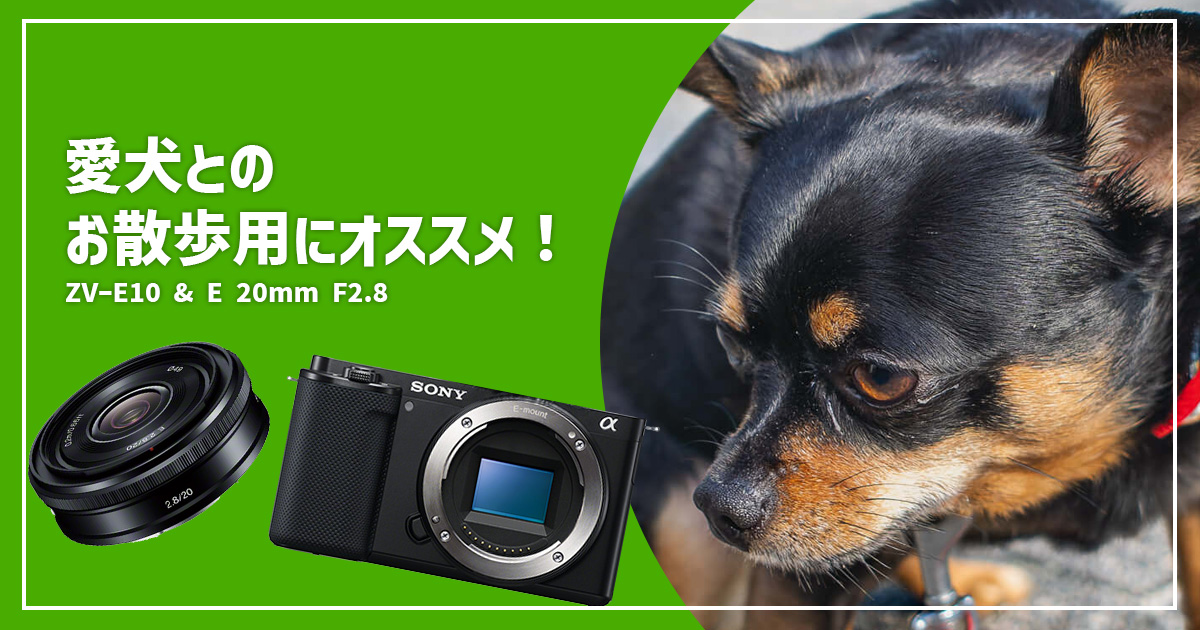 ZV-E10とE 20mm F2.8で愛犬撮影 | めちゃくちゃコンパクト