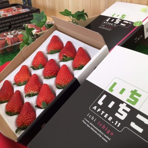 シーズン2025 いちご販売のみ12/1（日）〜スタートします | いちいちご