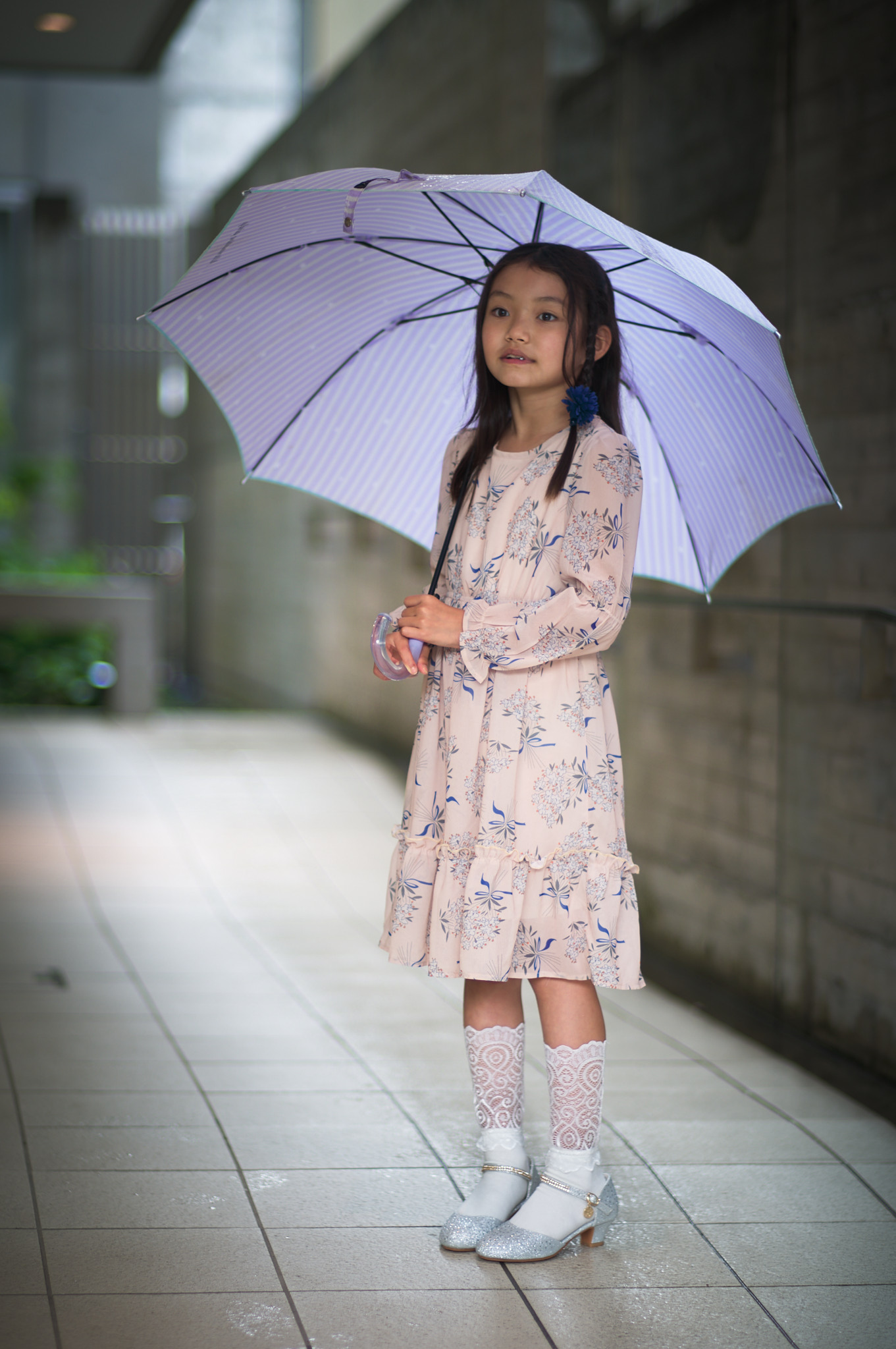 Sigma fpL＋Contax Planar 85mm f1.4でポートレート | Ichiro Photography