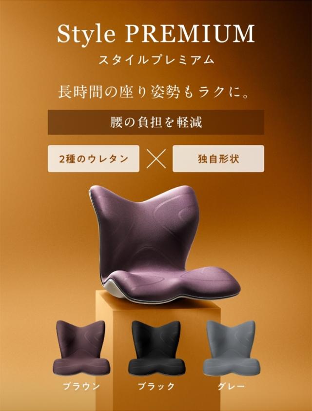 ポイント10倍／ Style PREMIUM 正規品 座椅子 一人掛け MTG クッション