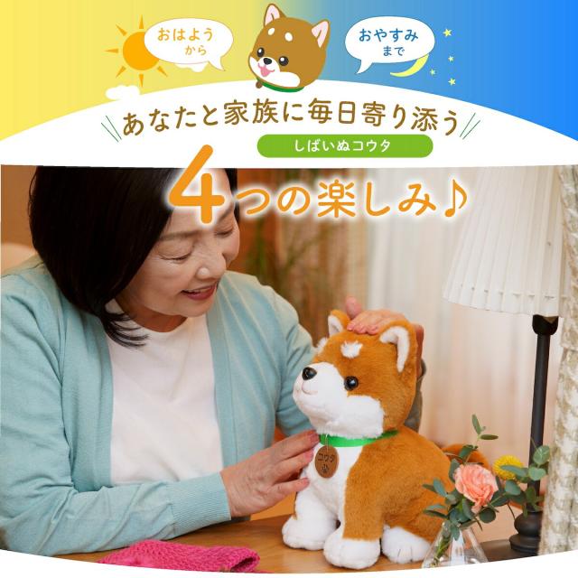 しばいぬ コウタ バンダナ付 こんにちワン！しばいぬコウタ バンダナ