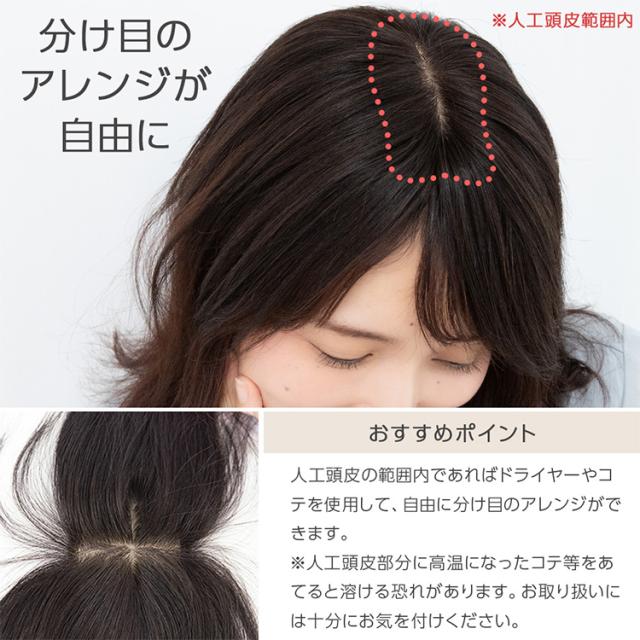 トップカバー 25cm 部分手植え レミー 人毛100% 部分ウィッグ 自然