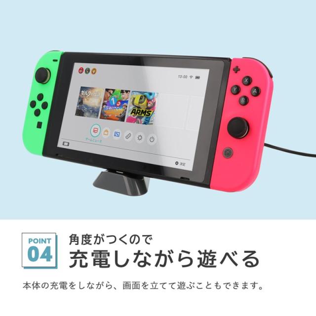 Nintendo Switch Lite 本体充電器 スマブラカセット付き Nintendo