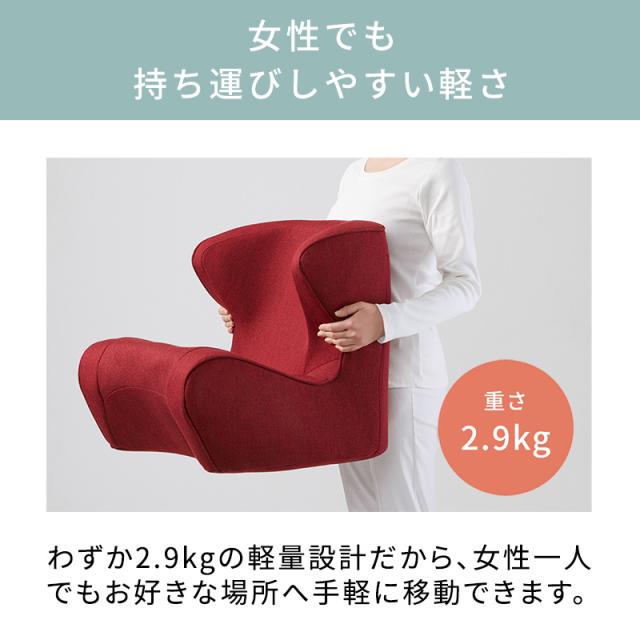 ポイント10倍／ スタイルドクターチェア Style Dr.CHAIR 【メーカー