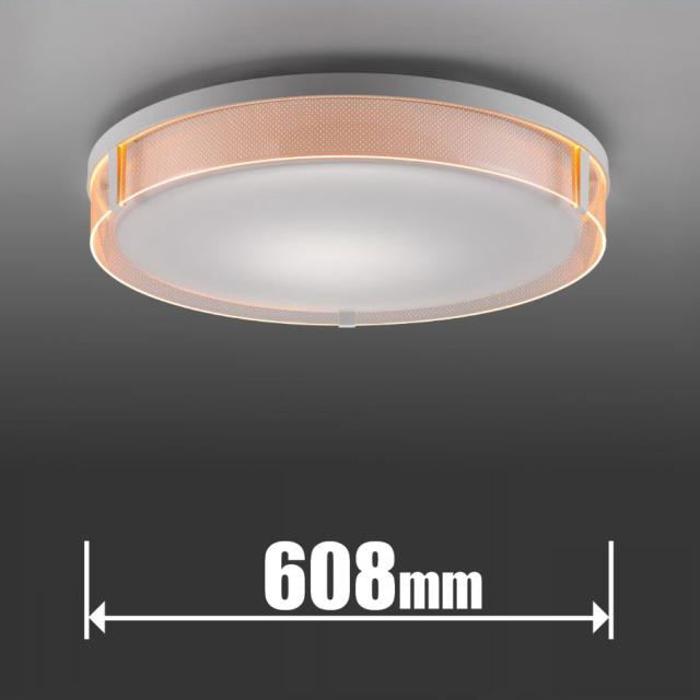 東芝 NLEH12022A-LC 10畳〜12畳用 LEDシーリングライト【カチット式