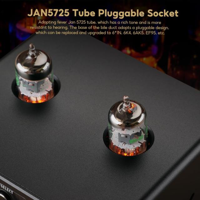 AIYIMA T9 PRO 200W Bluetooth 5.0 真空管アンプ D級HiFiデジタル