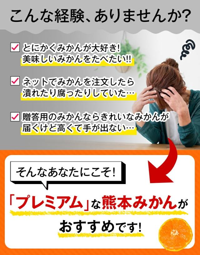 みかん 5kg サイズ 箱 買い 産地直送 柑橘 熊本 【光センサー選果の