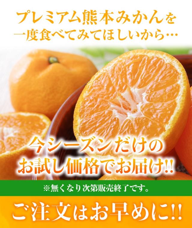 みかん 5kg サイズ 箱 買い 産地直送 柑橘 熊本 【光センサー選果の