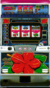 ハイビ30「2002年」 パチスロ スロット 機械割 天井 初打ち 打ち方