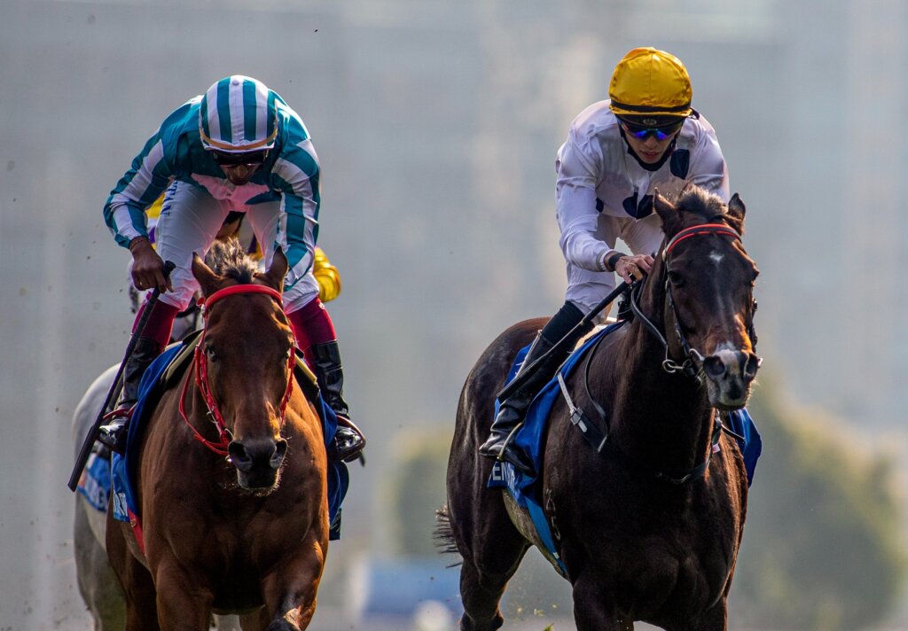 超貴重#ドバイワールドカップ#競馬#サウジアラビア#競争馬#世界一#最終