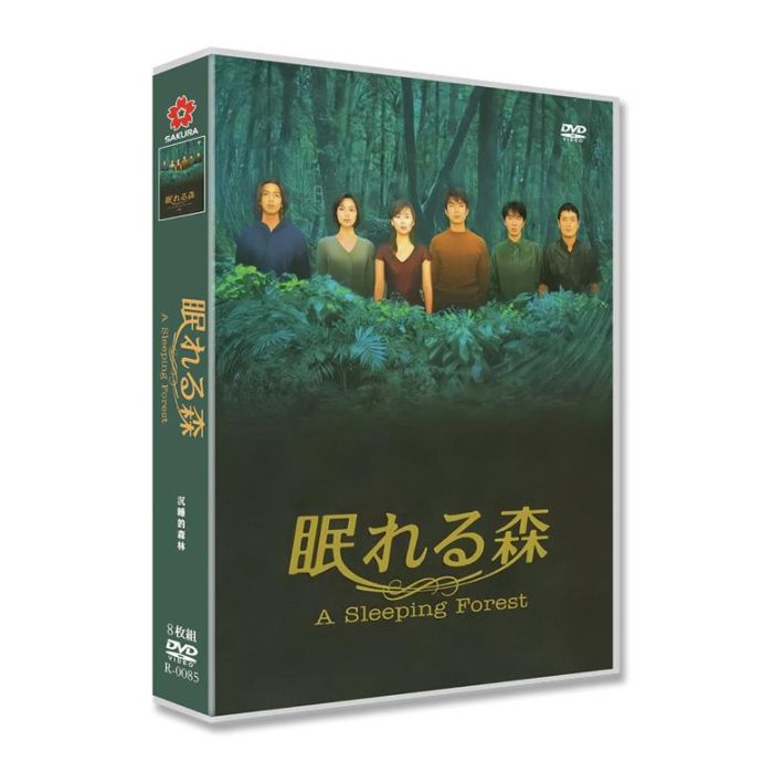 眠れる森 DVD-BOX 中山美穂 木村拓哉 仲村トオル 風間俊介 陣内孝則 TV