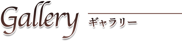 トラファルガー・ロー 永遠の絆 限定版レザーウォレット プレミアム
