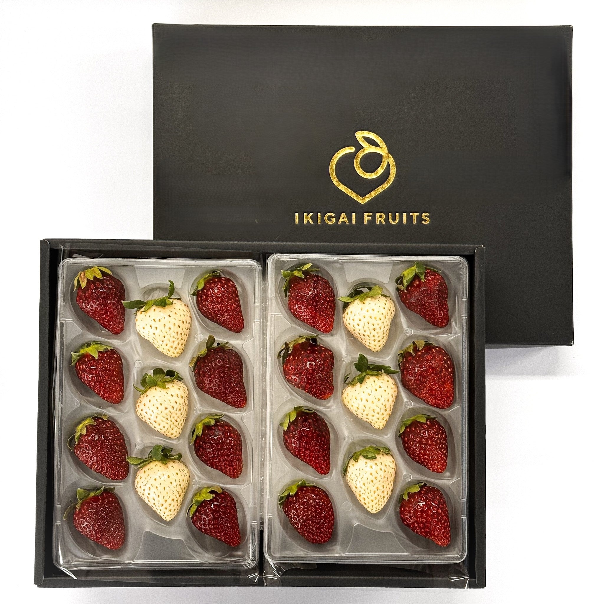 Deep Ruby Misuzu & Pearl Princess – ikigaifruits.com