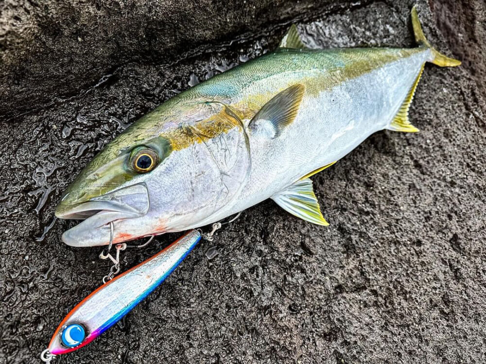 青物ルアー『ララペン165F』が秀逸！陸・船選ばれる理由はアクションの