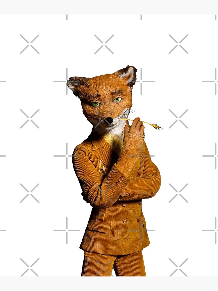 fantastic mr fox classic 