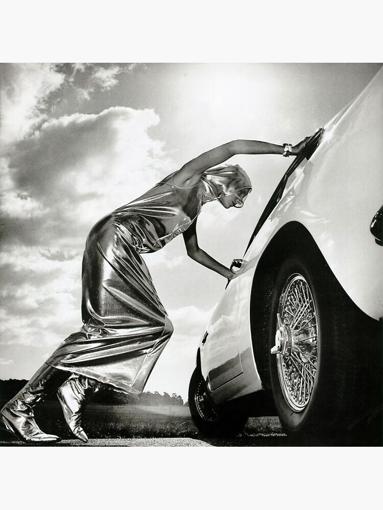 THe Best Of Helmut Newton Poster