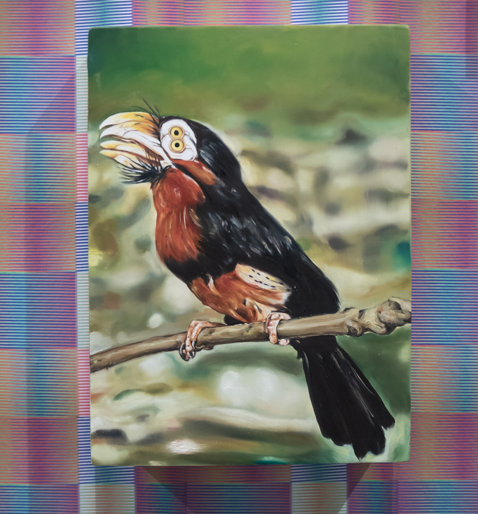 Watching people watching art – IJM Photography