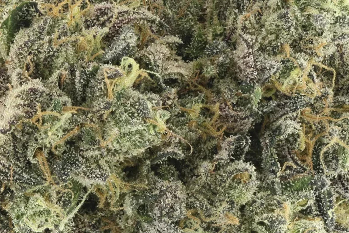 britneys-frozen-lemon-710-