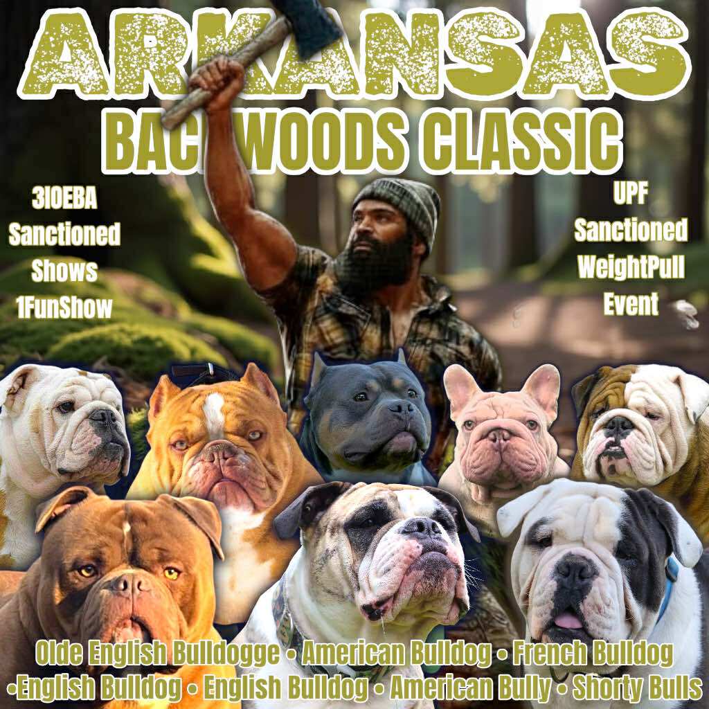 洋楽 Natti's Finest/Bulldog Entertainment 洋楽 Natti's Finest