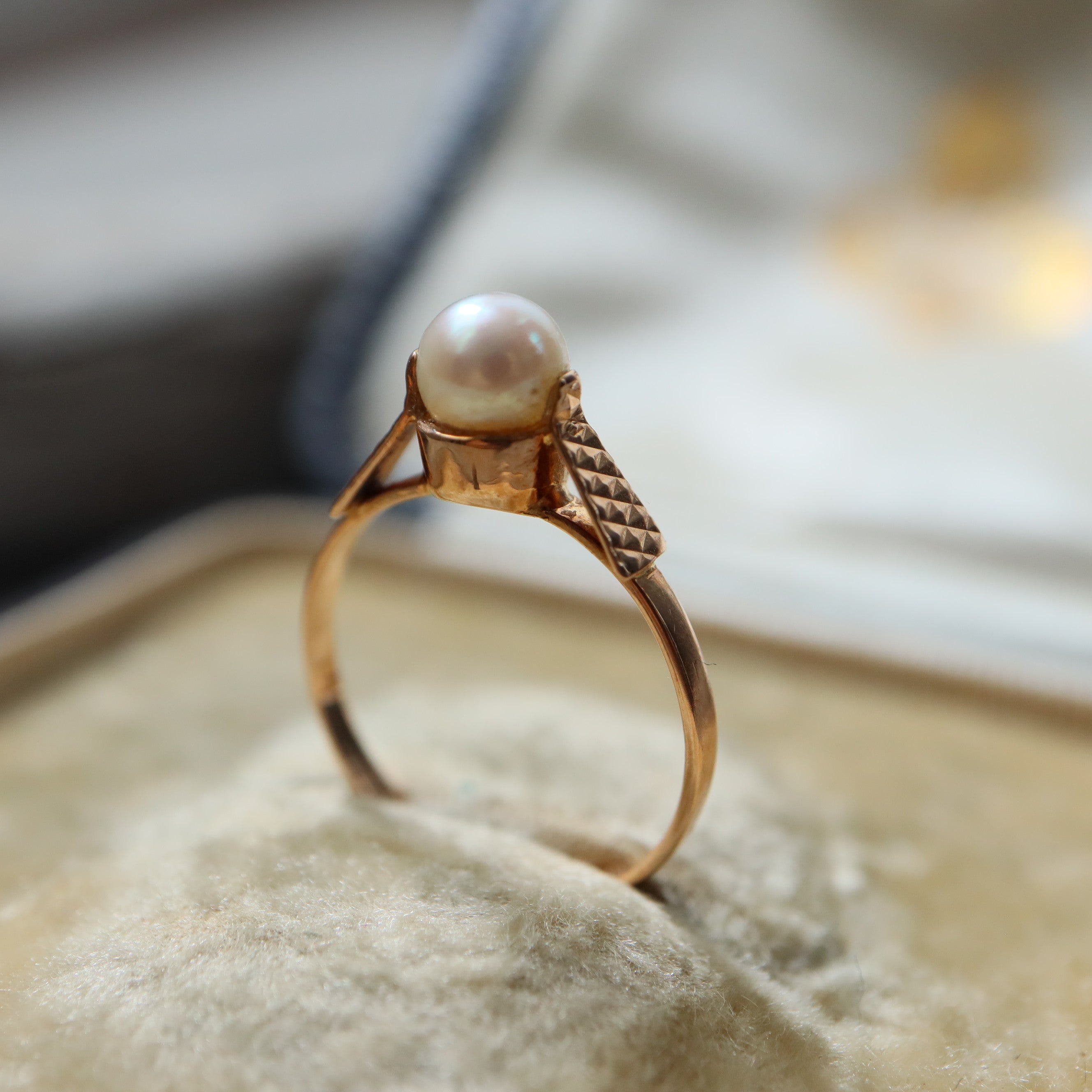 IMG_3559.jpg?v=1676547224&