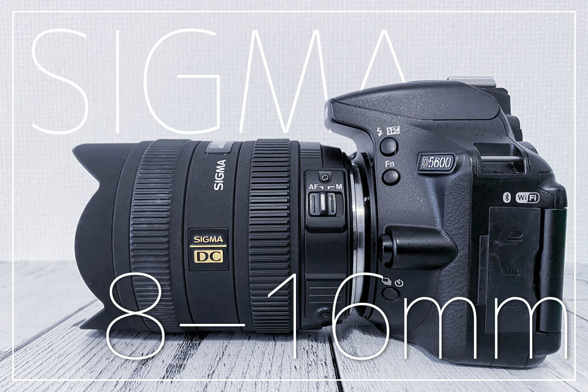 実機レビュー】SIGMA 8-16mmをNikon D5600で試してみた【作例あり
