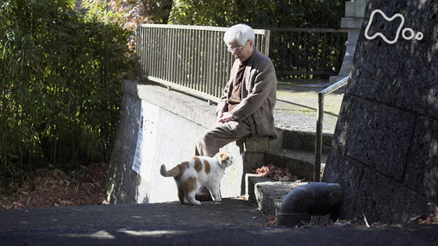 CD】猫も杓子もツイスト(250903) 猫も杓子もツイスト 割引 猫も杓子も