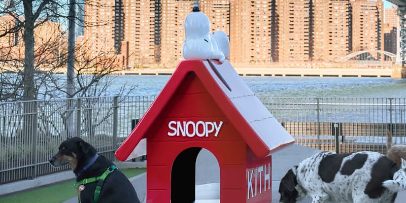 Kith Brings Snoopy's Doghouse to Domino Park | Hypebeast