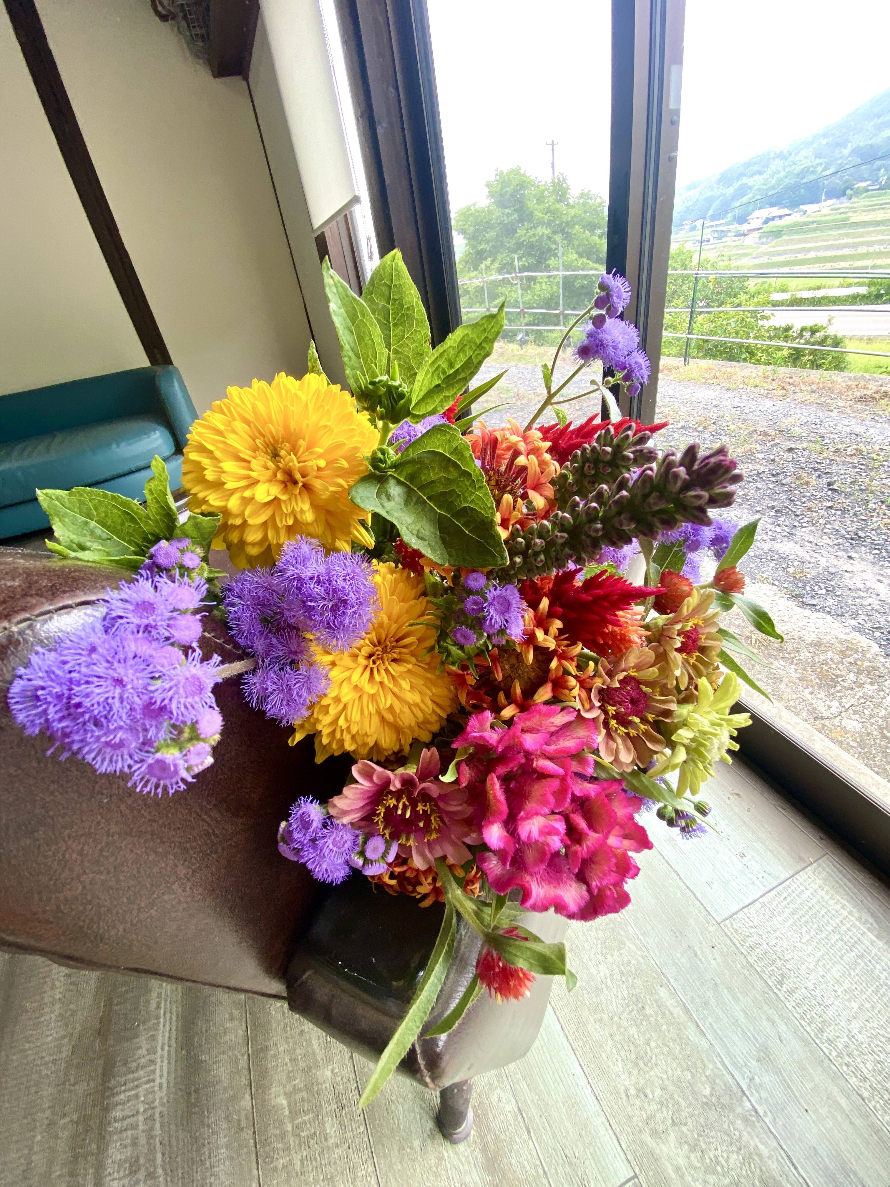 06ddb9904ebaebdabe2fdede93976e