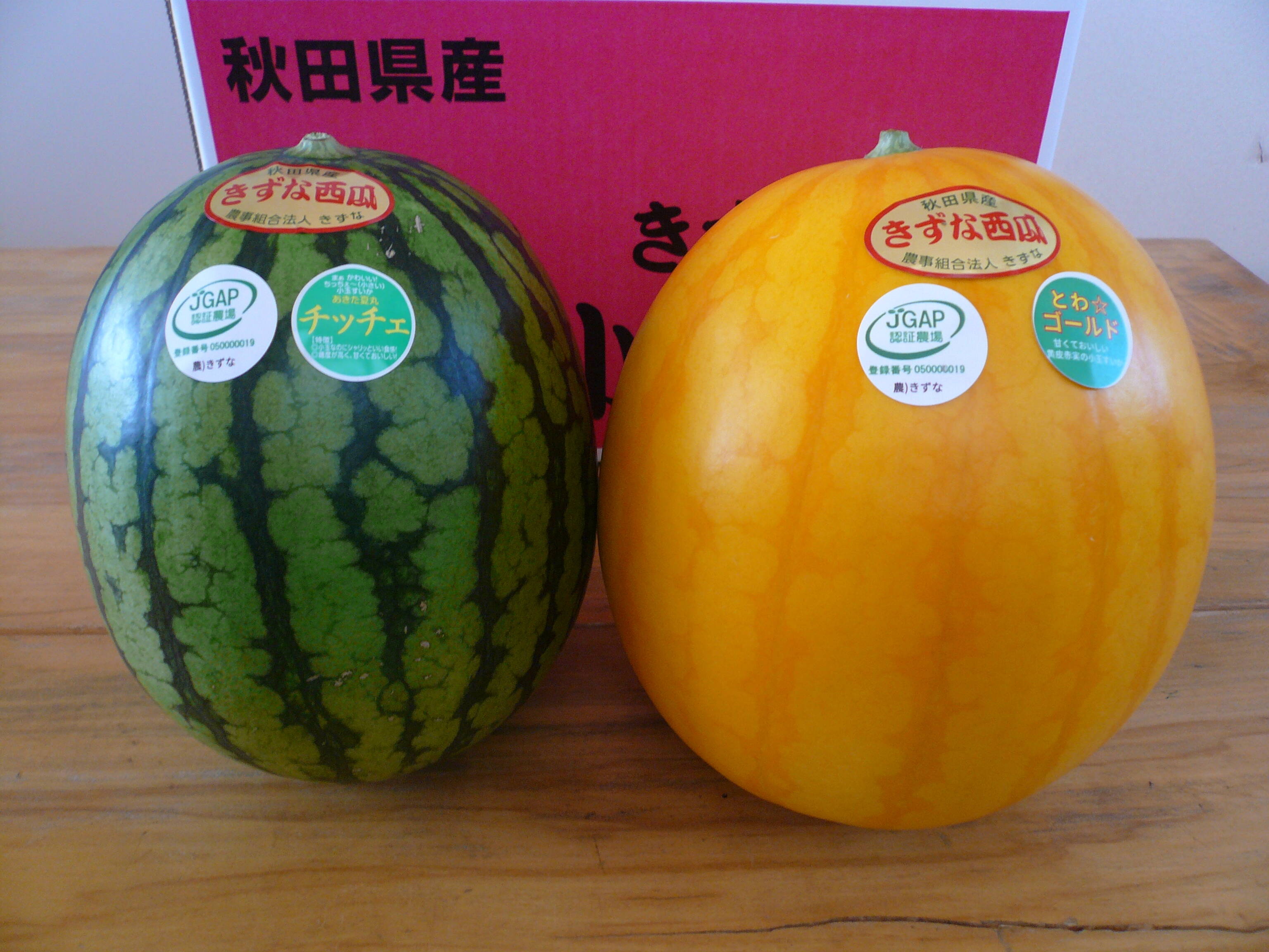 小玉すいかミックス とわ☆ゴールド/夏丸チッチェ 2L各1玉入：秋田県