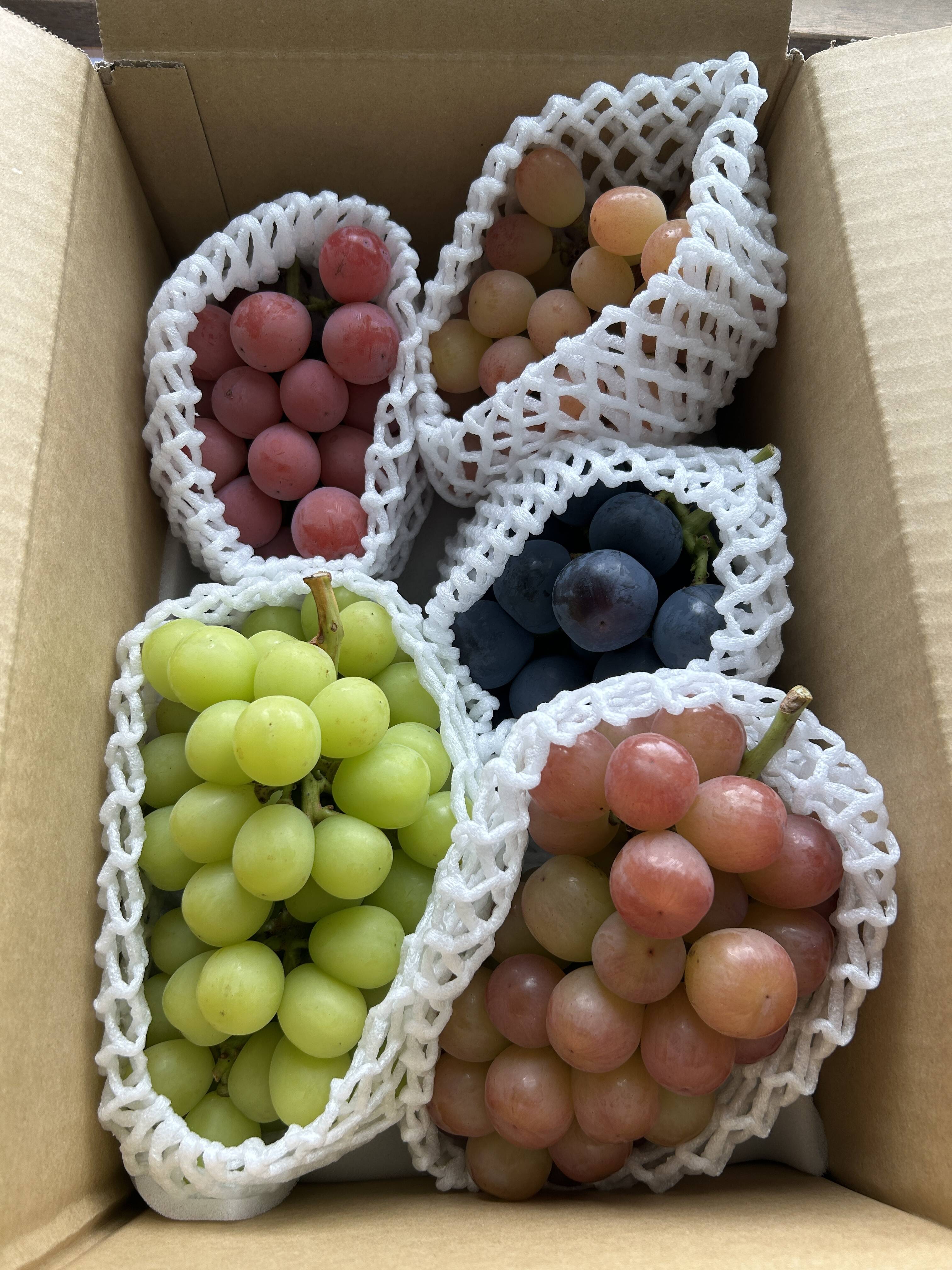 495b85397a38be8f8405eea0023913