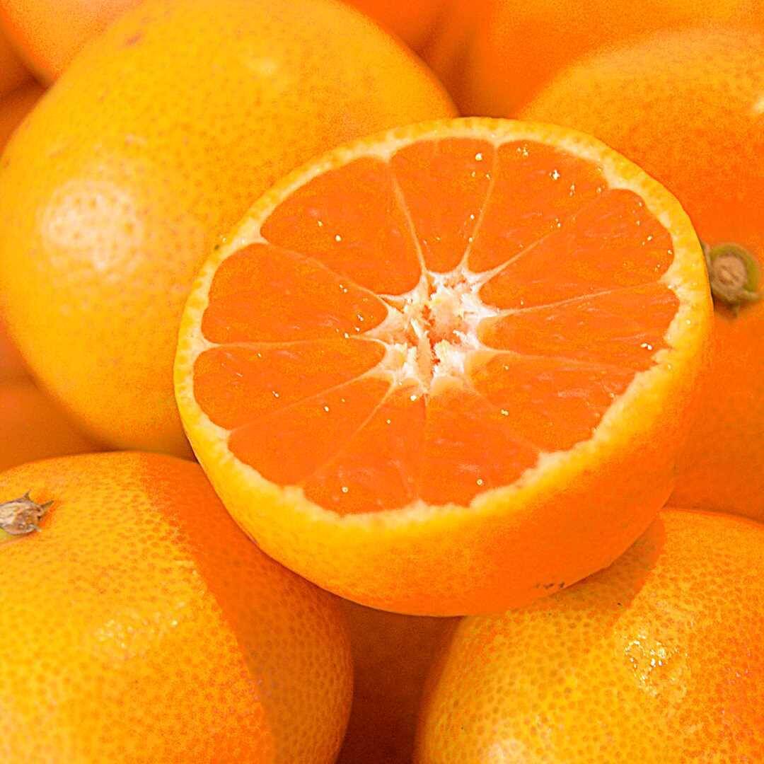 有田みかん2.5kg（こつぶサイズ3S～S）家庭用（訳あり品）こつぶちゃん