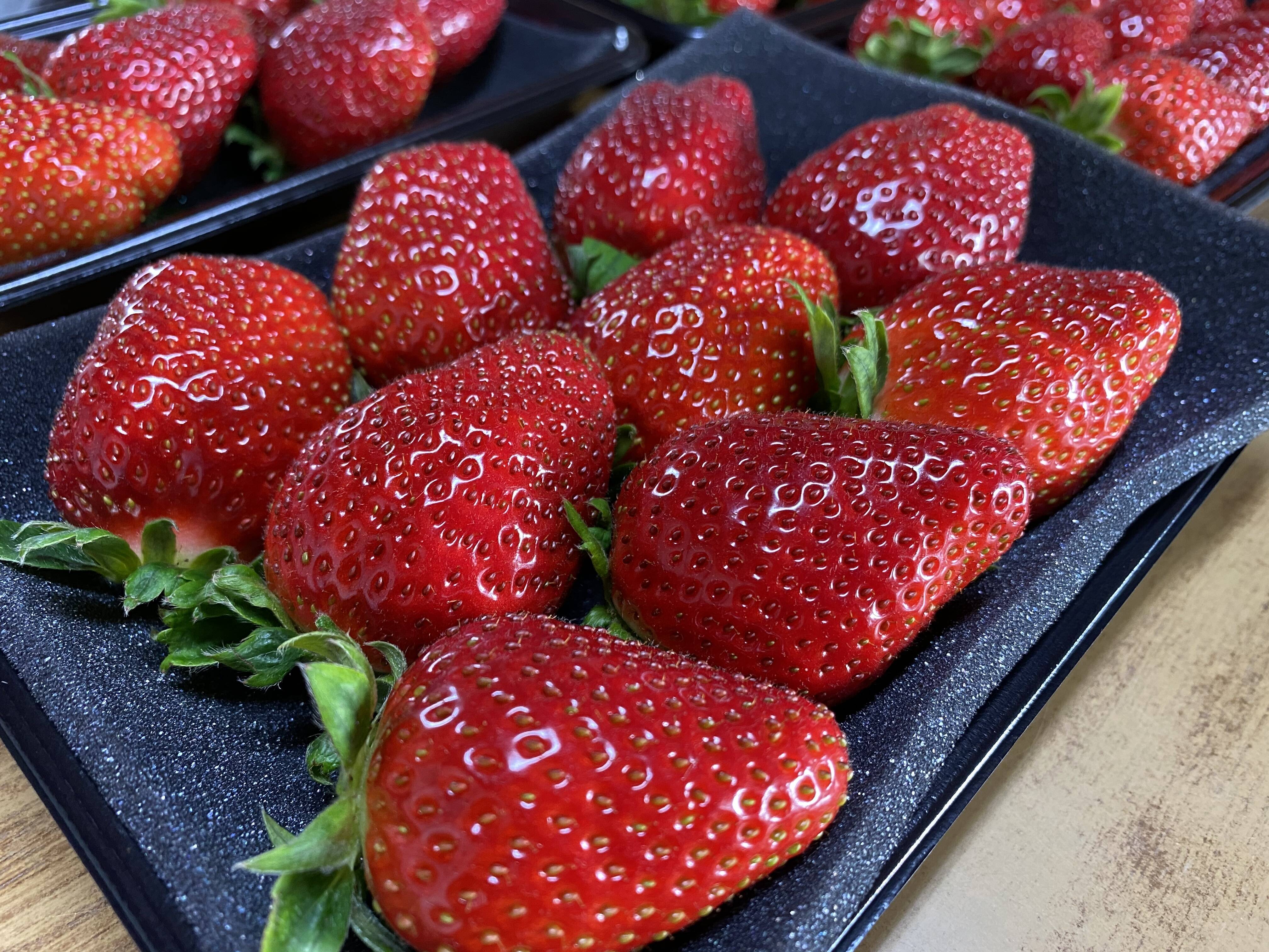 朝摘みいちご🍓まほろばの朱(あかり)2.0極上品おいCベリー300g×2