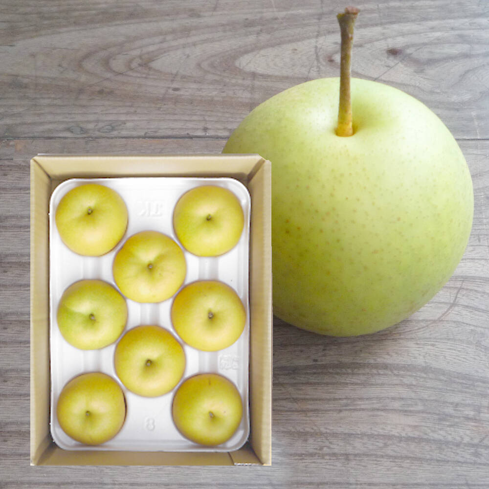 最終出荷「(数量限定)二十世紀梨_2.5キロ(5～9玉) 」たにがみ農園 果汁