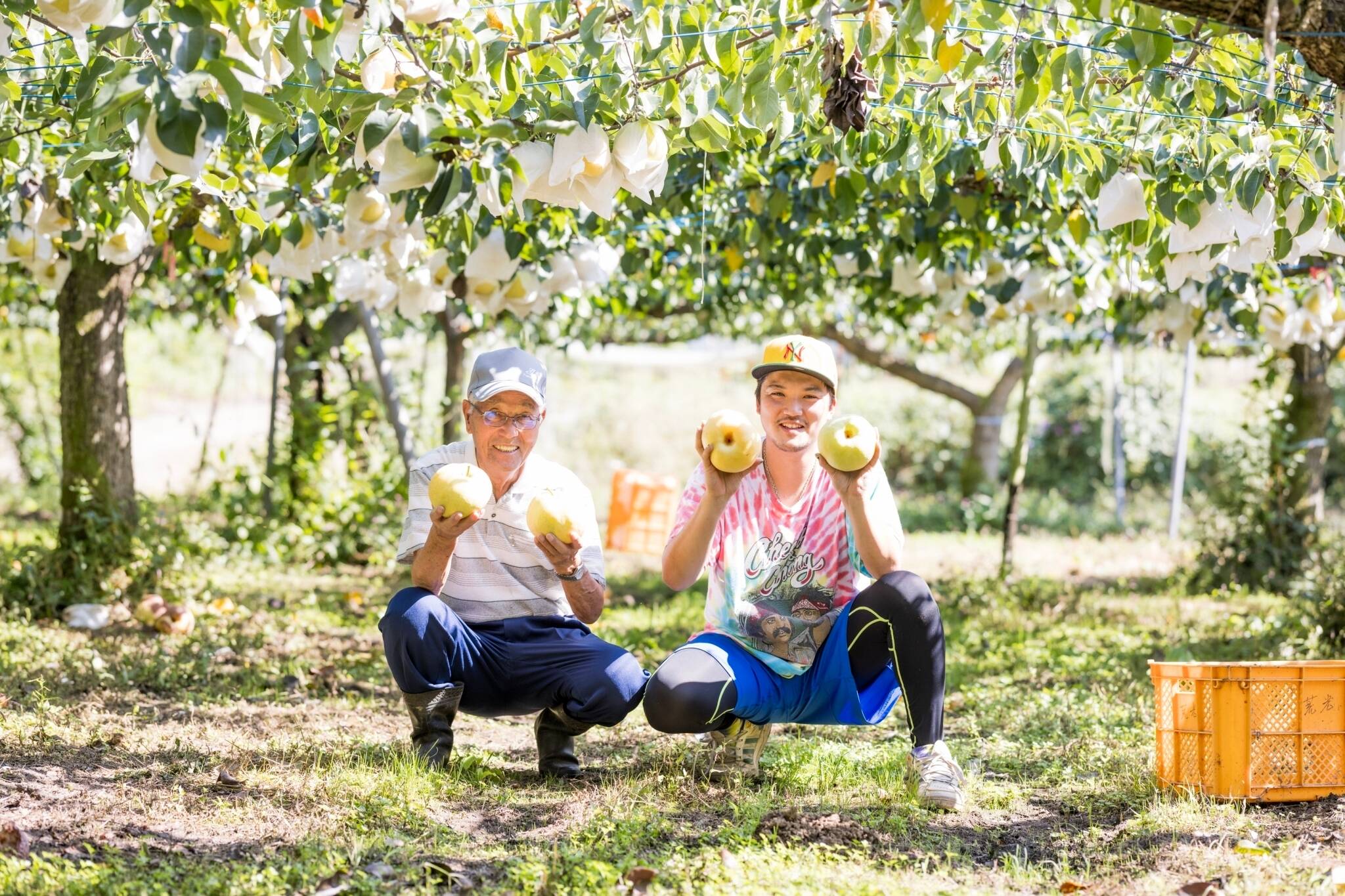 aa70d79a931f829d341abe39594e7e